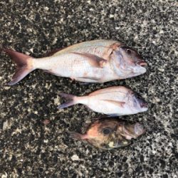 上五島釣行  記録更新♪