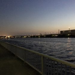 バチシーバスシーズンイン