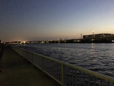 バチシーバスシーズンイン