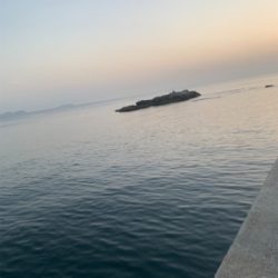 活気がでてきました。