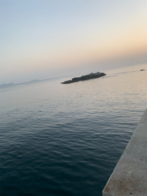 活気がでてきました。