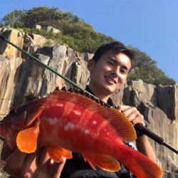 弁天ライトロックフィッシュゲーム