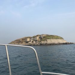 ボートシーバス→マゴチ→タイラバ