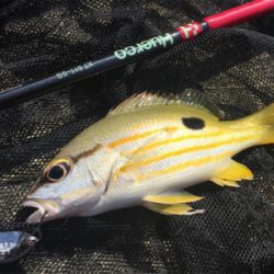 石垣ライトゲーム！！！