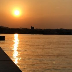 4ヶ月ぶりに太刀魚に出会えました♪