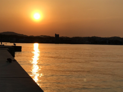 4ヶ月ぶりに太刀魚に出会えました♪