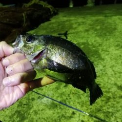 苦手なパターン