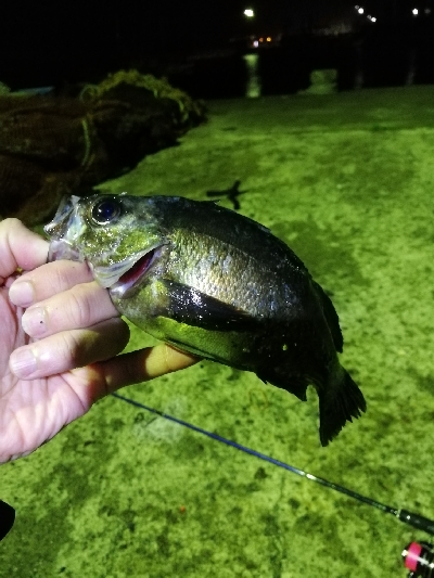 苦手なパターン