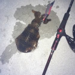 久しぶりの釣行