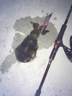 久しぶりの釣行