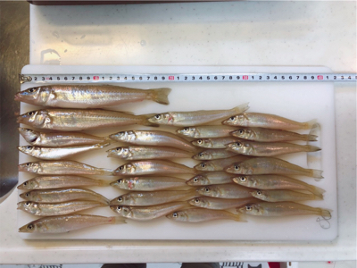 キスシーズン到来！！