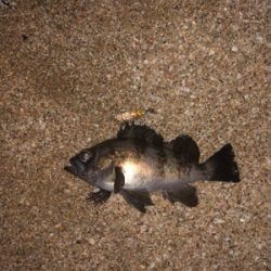 雨の力を借りて