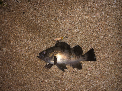 雨の力を借りて