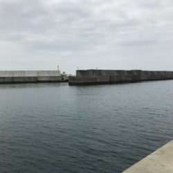 コウちゃん3連発