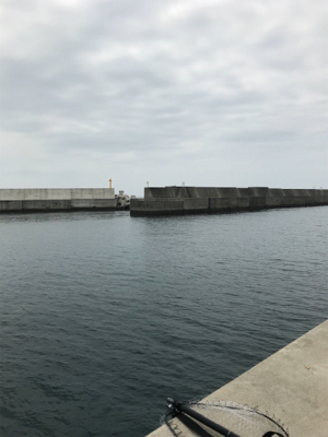 コウちゃん3連発