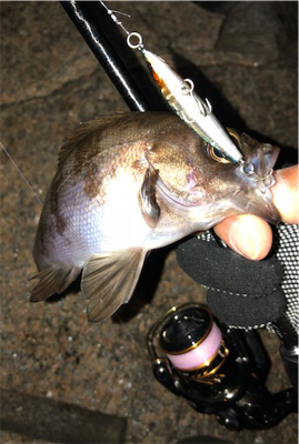 メバメバメバ リリースサイズいっぱい