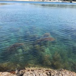 ヤバイくらいのんが来た(*_*)