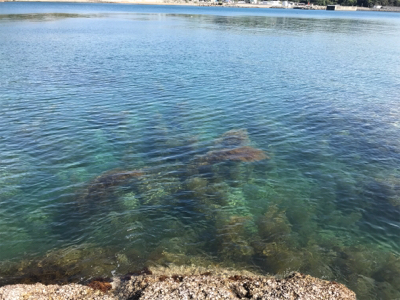 ヤバイくらいのんが来た(*_*)