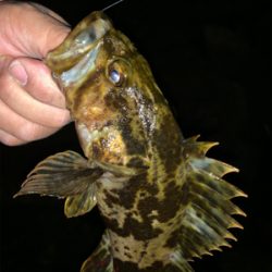 今シーズン一番