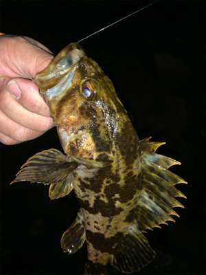 今シーズン一番