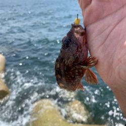 神戸和田防 フカセ釣り