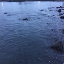 モーニングメバリング