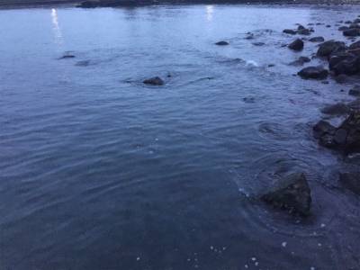 モーニングメバリング