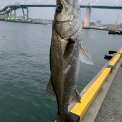 仕事帰りの短時間釣行