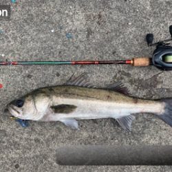 当たりカラーは？