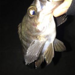 体は寒くても心は熱い