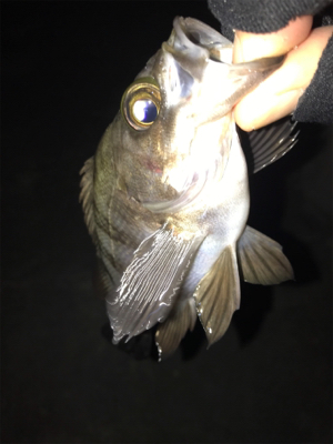 体は寒くても心は熱い