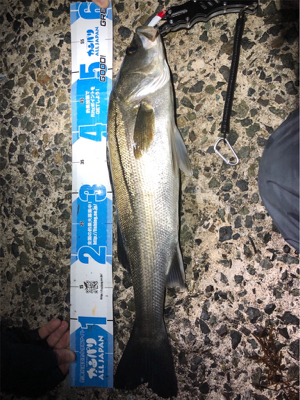 メバル＋ビッグ外道