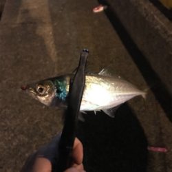 GWスタート！！