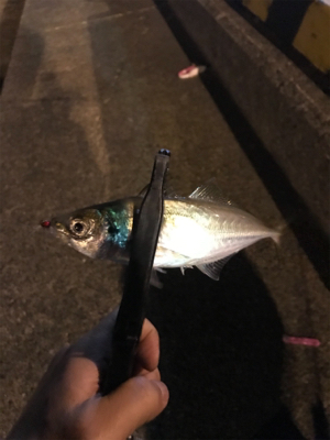 GWスタート！！