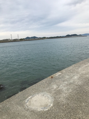 郡六突堤でキス2匹