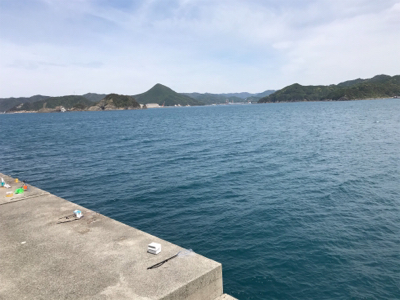 半年ぶりの青物