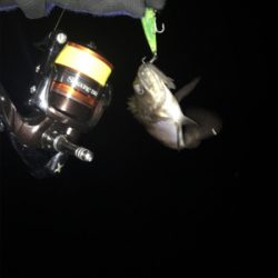 ライトゲーム は楽しいよね〜