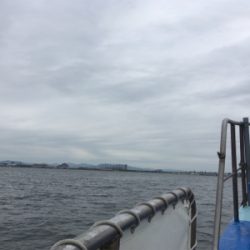 青イソメでガシラ!