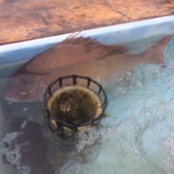 GW前半戦、雨の前の勝負