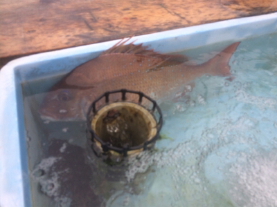 GW前半戦、雨の前の勝負