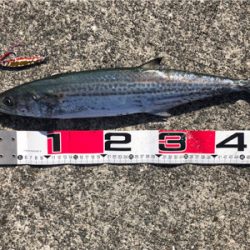 GW初日、タイミングよかった^ ^