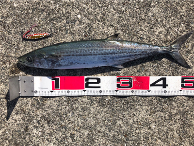 GW初日、タイミングよかった^ ^