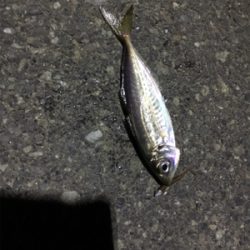 小粒ライトゲーム