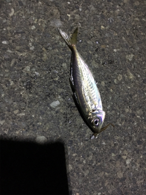 小粒ライトゲーム