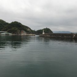 接待アジング調査