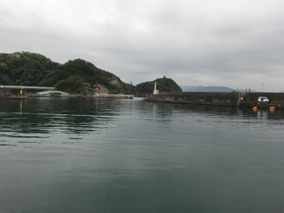 接待アジング調査