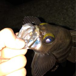 元号またぎライトゲーム