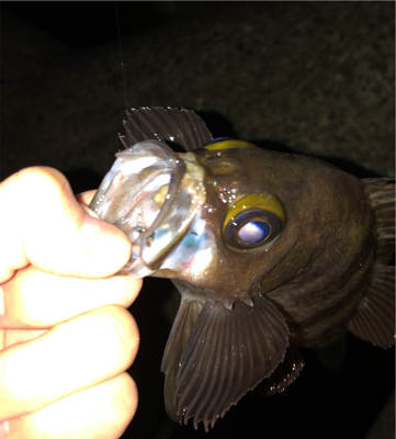 元号またぎライトゲーム