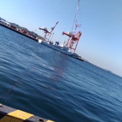 4/20釣果 天気は良かったけど渋かった