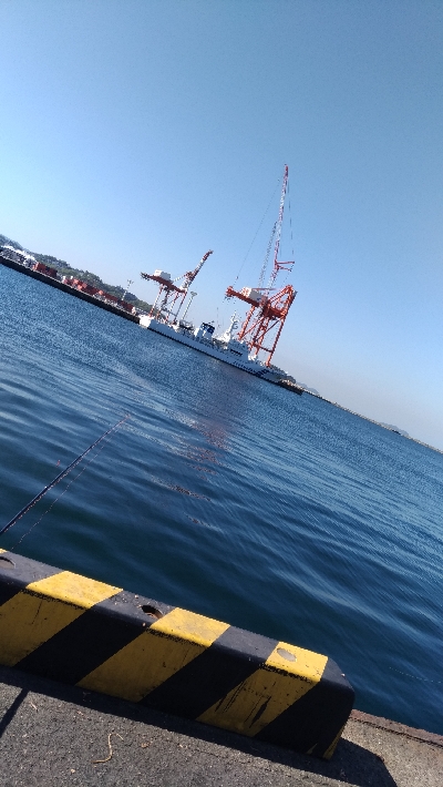 4/20釣果 天気は良かったけど渋かった